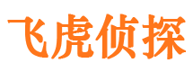 矿区侦探公司